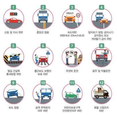 12대 중과실(한국도로교통공단).jpg